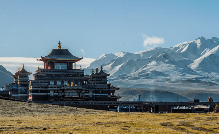 蒙古国海关数据查询平台（附免费试用查询平台）